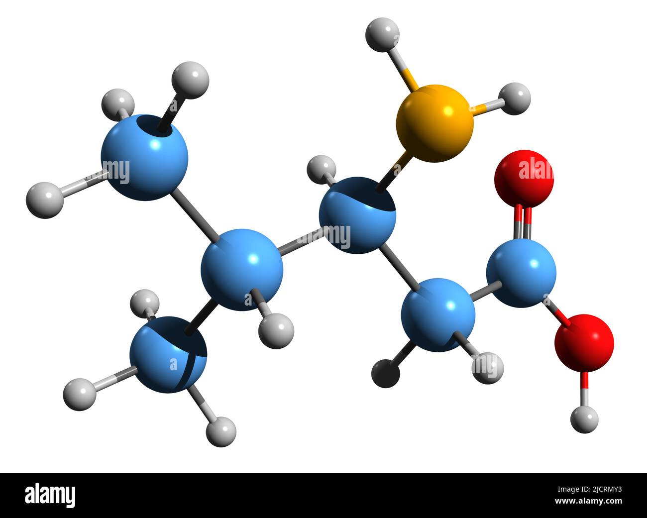 3D immagine della formula scheletrica beta-leucina - struttura chimica molecolare del beta aminoacido isolato su sfondo bianco Foto Stock