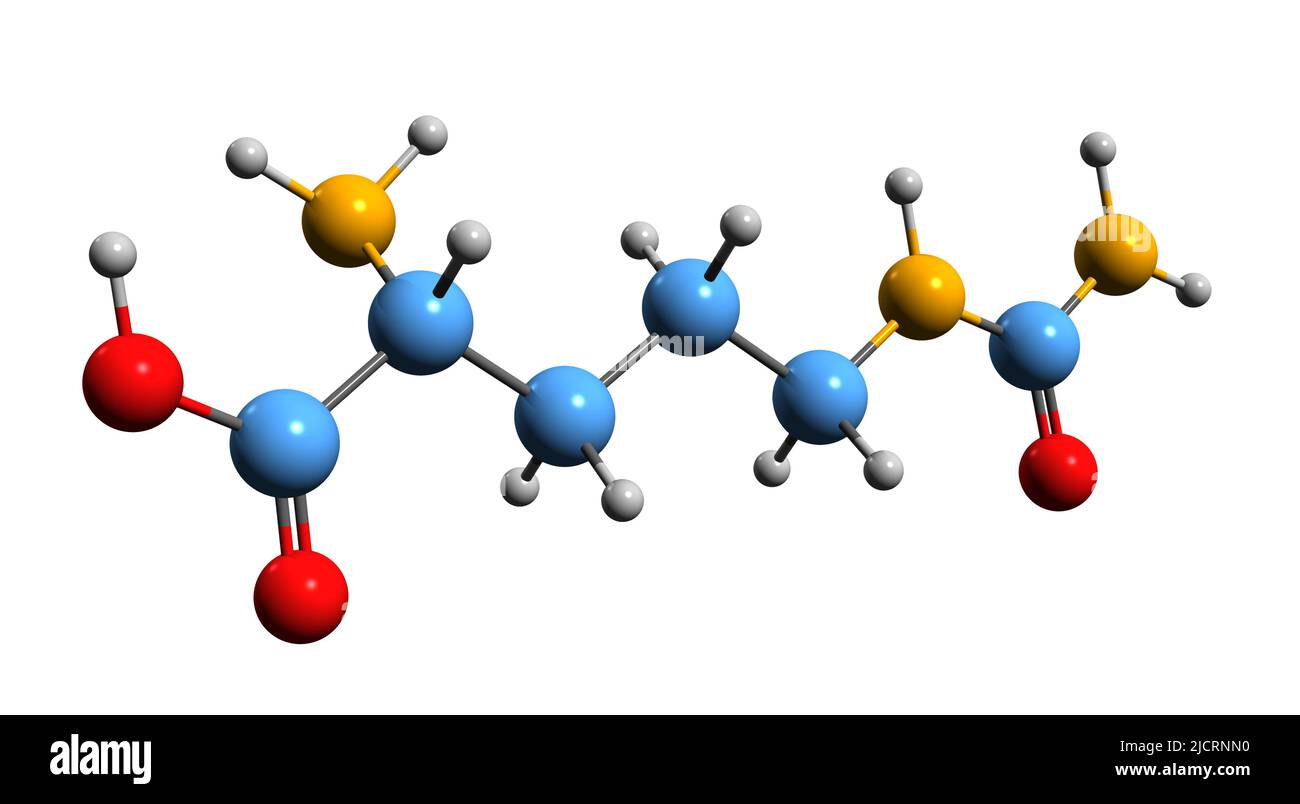 3D immagine della citrullina formula scheletrica - struttura chimica molecolare dell'amminoacido isolato su sfondo bianco Foto Stock