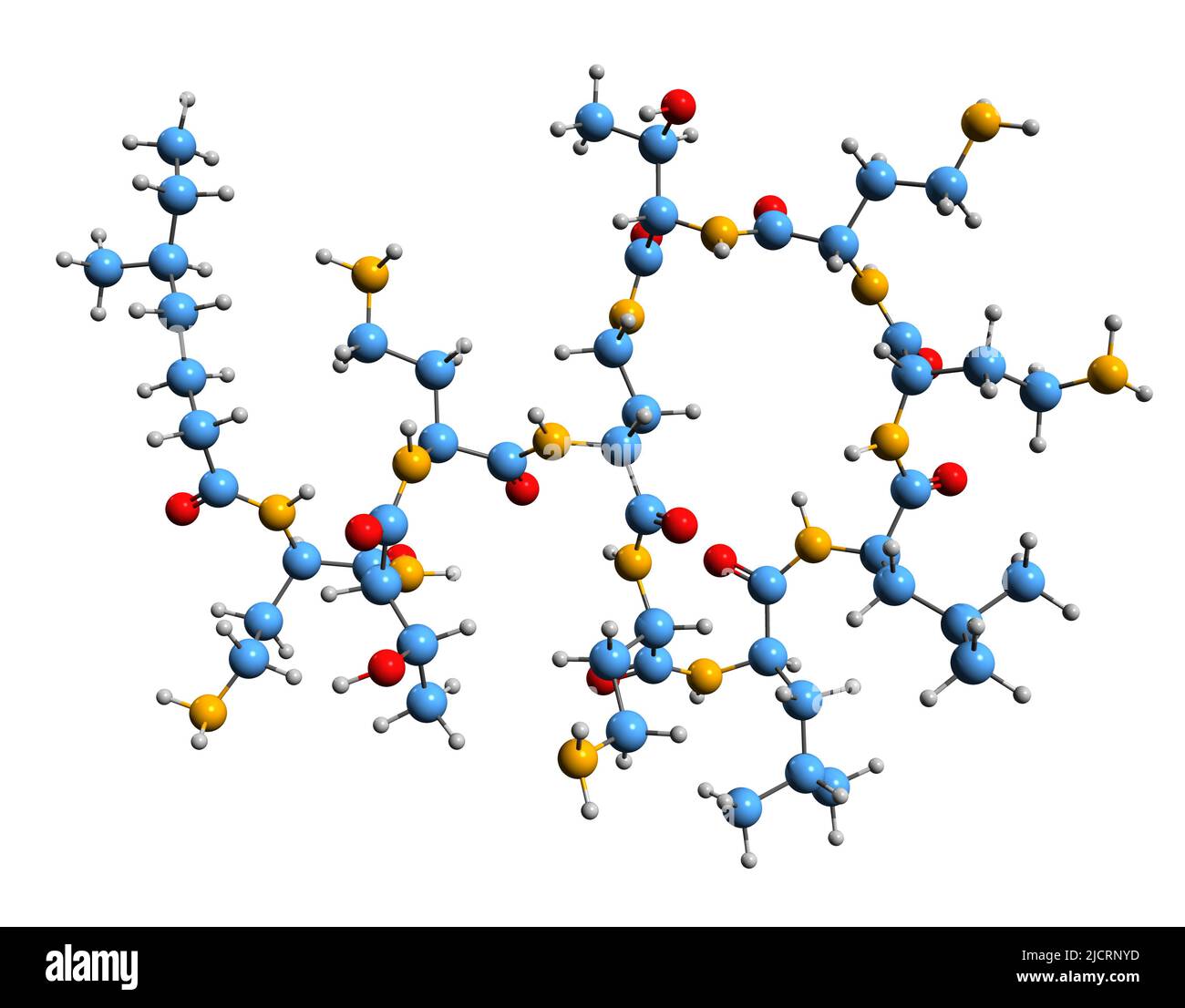 3D immagine della formula scheletrica colistina - struttura chimica molecolare della polimixina e isolata su sfondo bianco Foto Stock