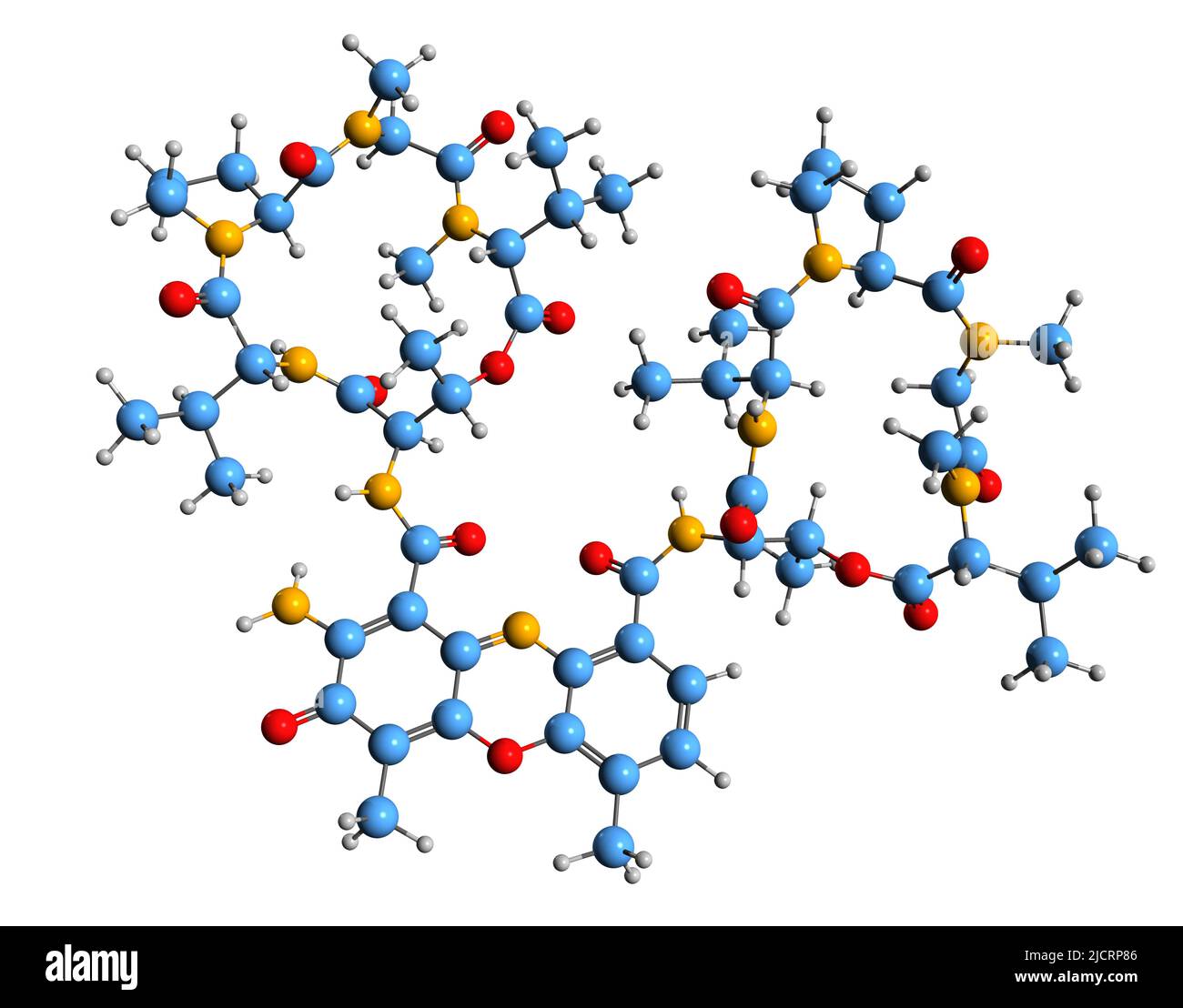 3D immagine della dactinomicina formula scheletrica - struttura chimica molecolare dell'actinomicina D isolata su sfondo bianco Foto Stock
