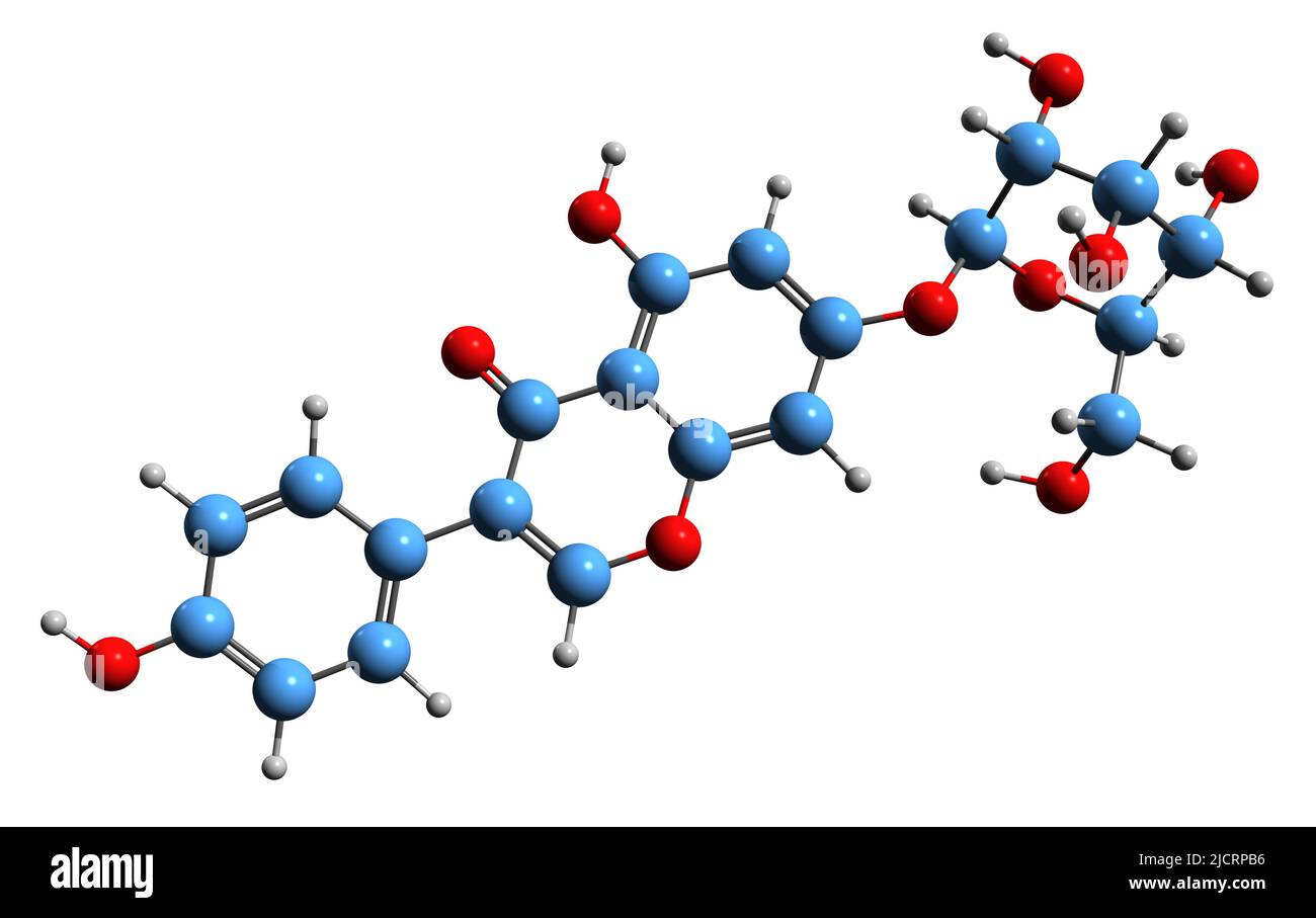 3D immagine della formula scheletrica di daidzin - struttura chimica molecolare di isoflavone isolato su sfondo bianco Foto Stock