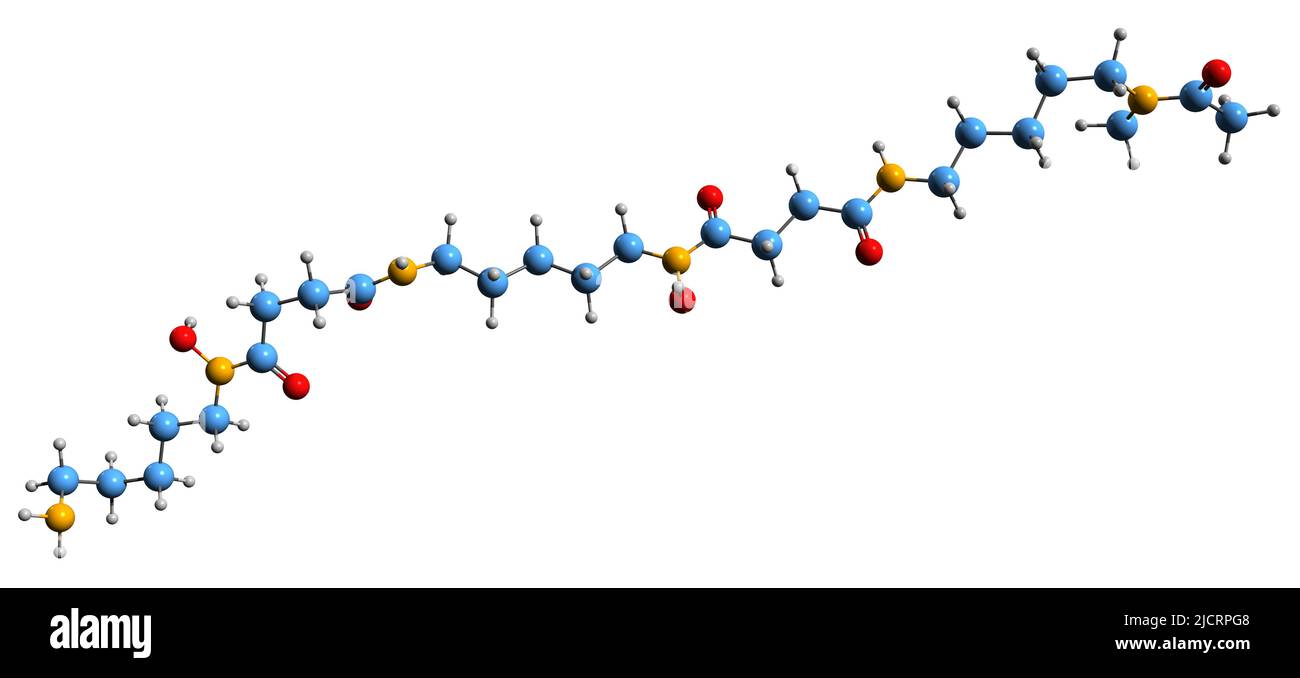 3D immagine di deferoxamina formula scheletrica - struttura chimica molecolare di desferrioxamina isolata su sfondo bianco Foto Stock