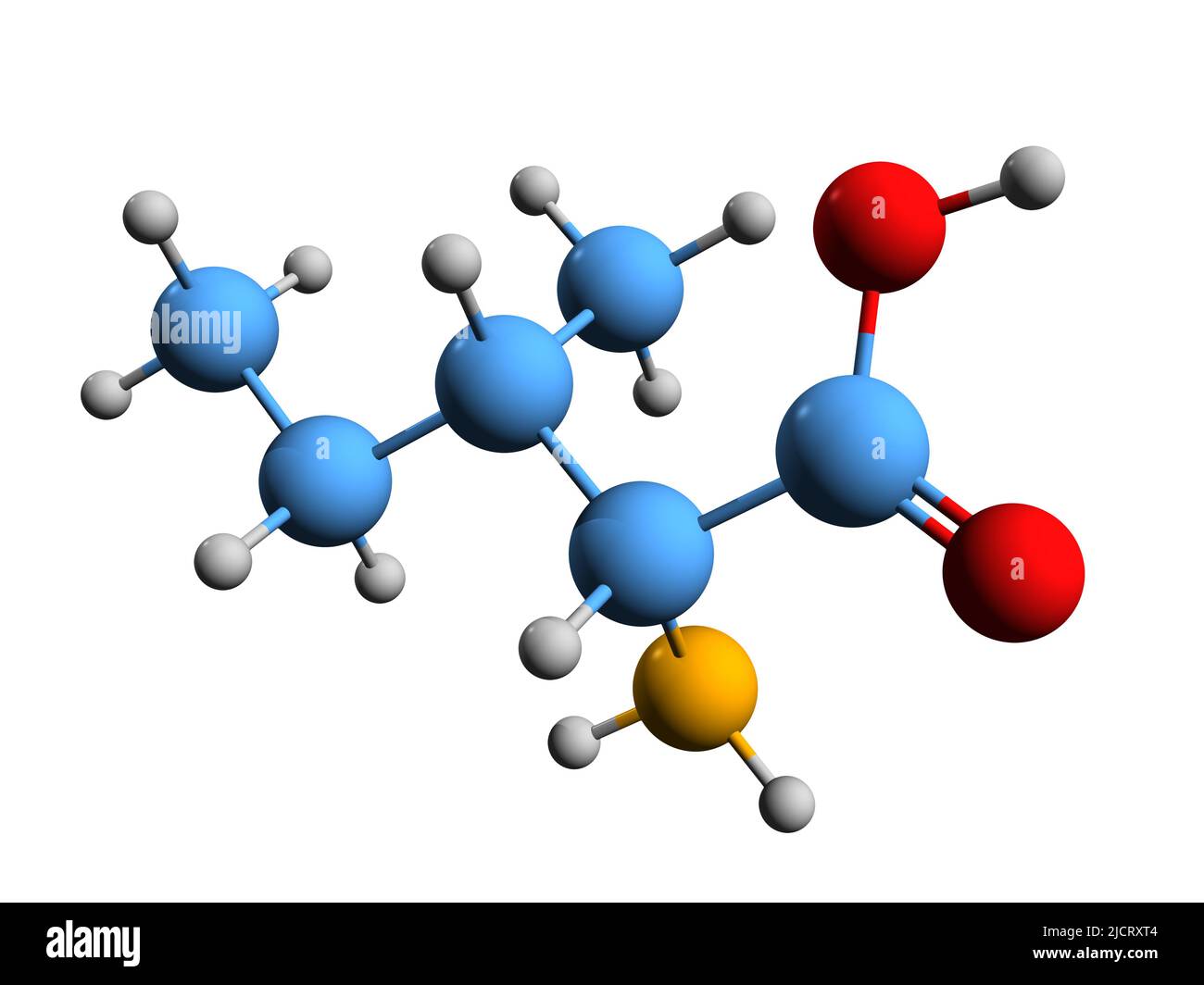 3D immagine della formula scheletrica isoleucina - struttura chimica molecolare dell'amminoacido isolato su sfondo bianco Foto Stock