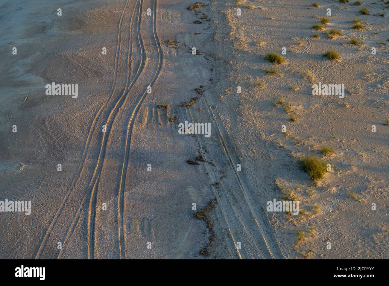 Tire Marks sulla spiaggia a Tybee Island, georgia Foto Stock