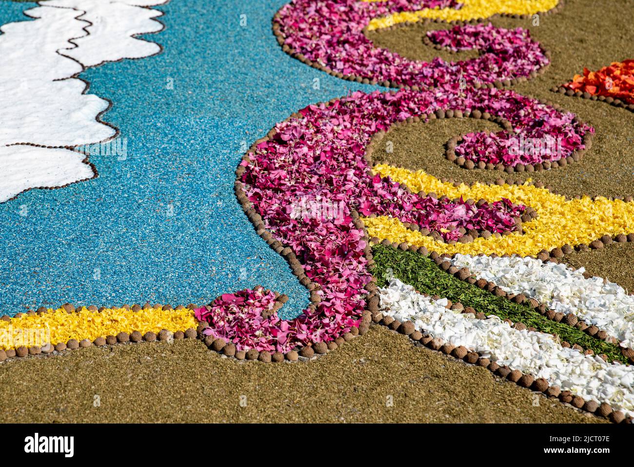 Particolare di petalo e tappeto di fiori per la celebrazione del Corpus Christi a Ponteareas, Galizia, Spagna Foto Stock