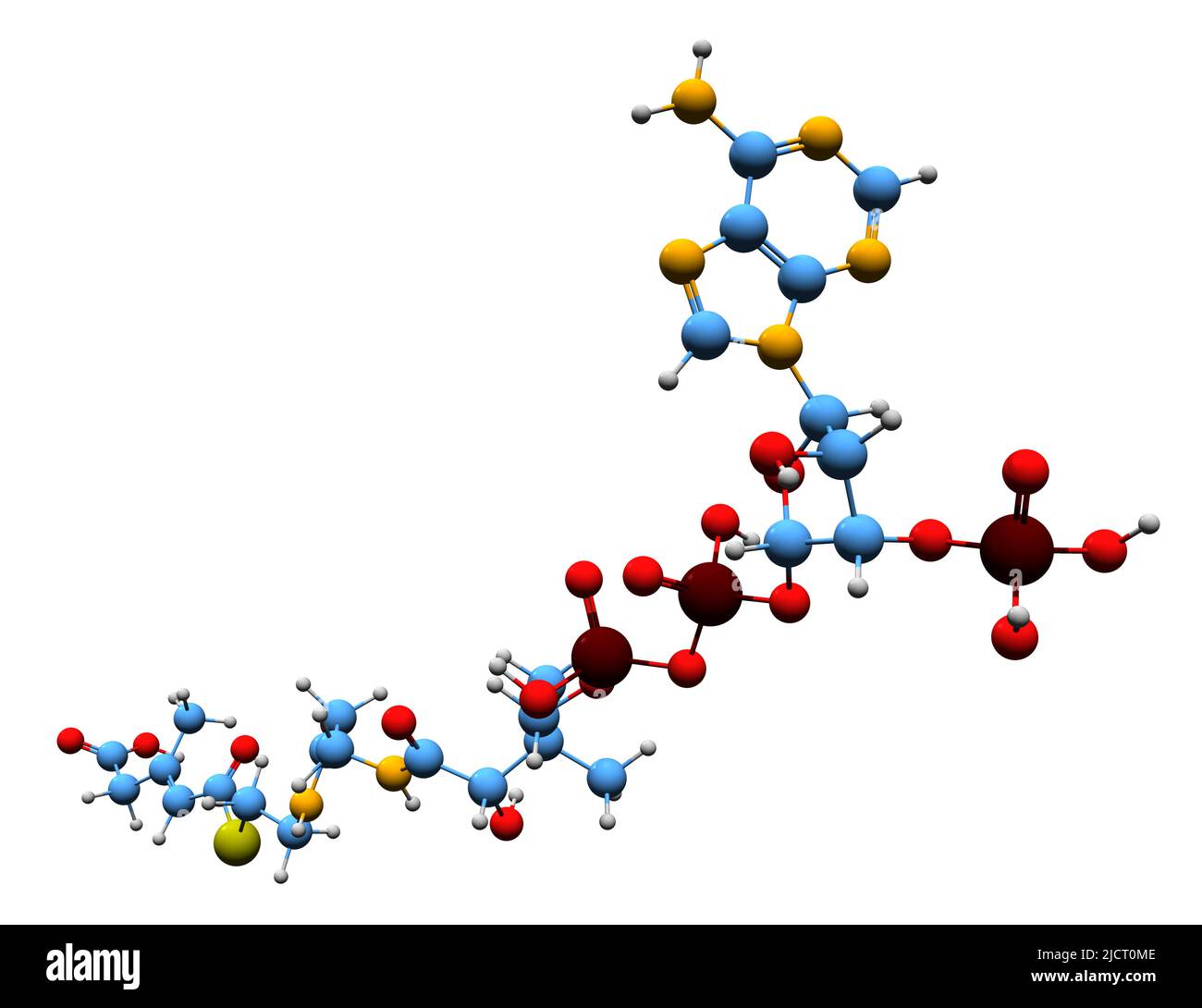 3D immagine di 3-metilglutaconil-CoA formula scheletrica - struttura chimica molecolare DI MG-CoA isolata su sfondo bianco Foto Stock