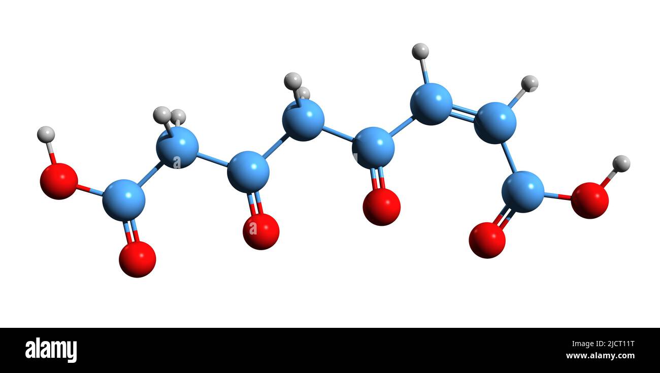 3D immagine di acido 4-Maleilacetoacetico formula scheletrica - struttura chimica molecolare di 4-maleilacetoacetato isolato su sfondo bianco Foto Stock