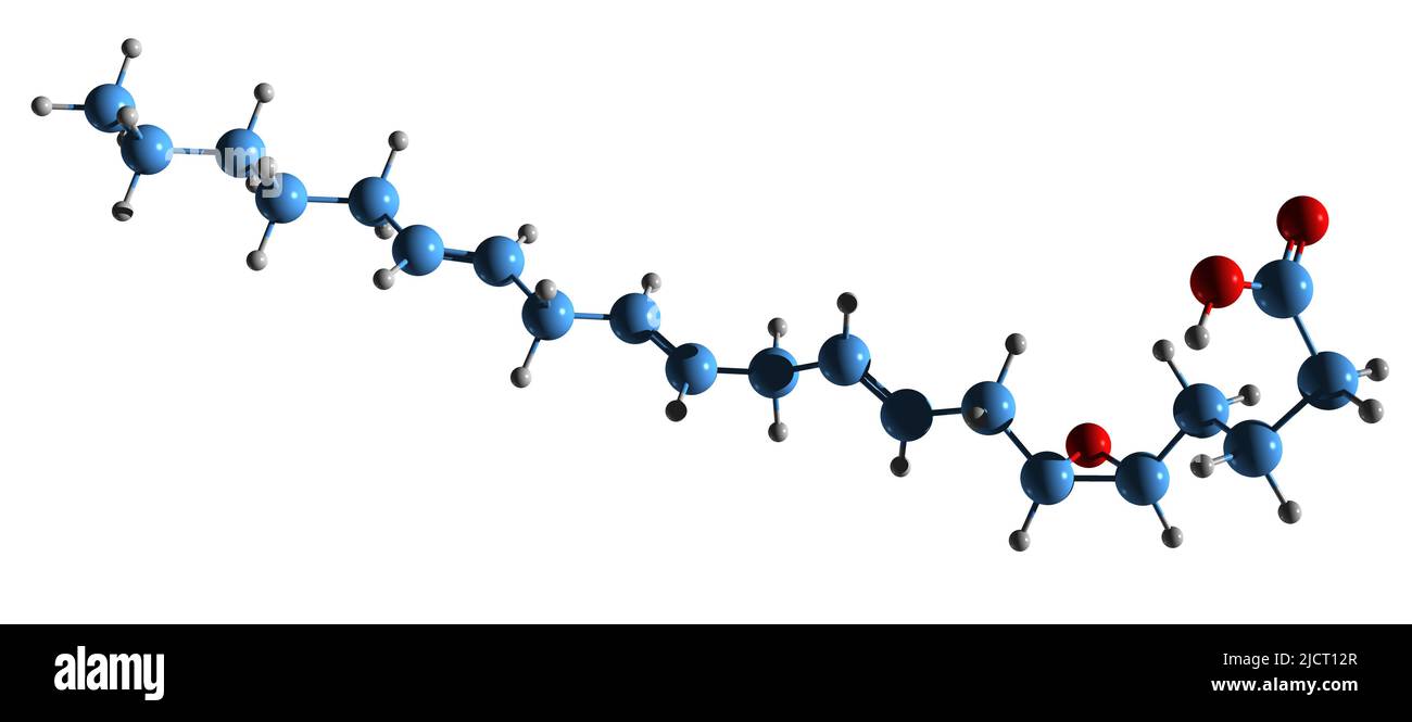 3D immagine della formula scheletrica dell'acido eicosatrienoico 5,6-epossidico - struttura chimica molecolare dell'EET isolata su sfondo bianco Foto Stock