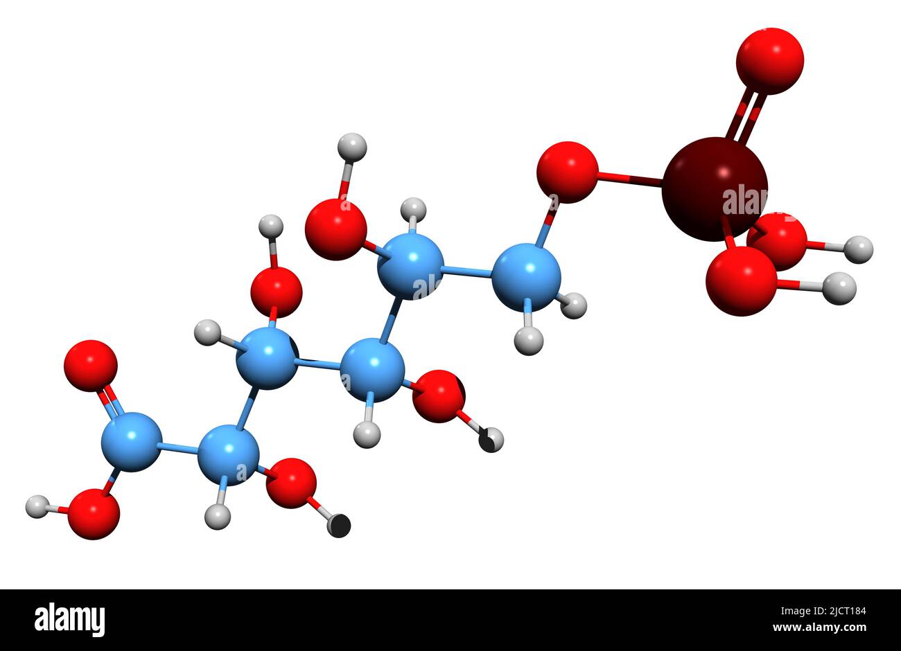3D immagine di acido fosfogluconico 6 formula scheletrica - struttura chimica molecolare di 6-fosfogluconato isolato su sfondo bianco Foto Stock