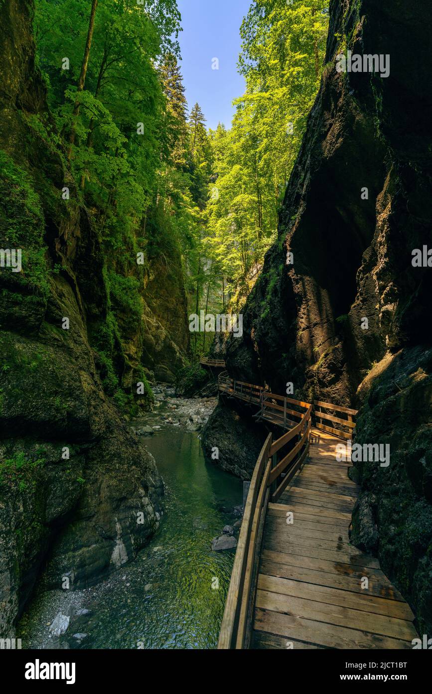 Im Alploch in Dornbirn führt ein Steg durch die enge Schlucht. Stimmungsvoller Blick, mit blauem Wasser und grünen Pflanzen zwischen den harten Felsen Foto Stock