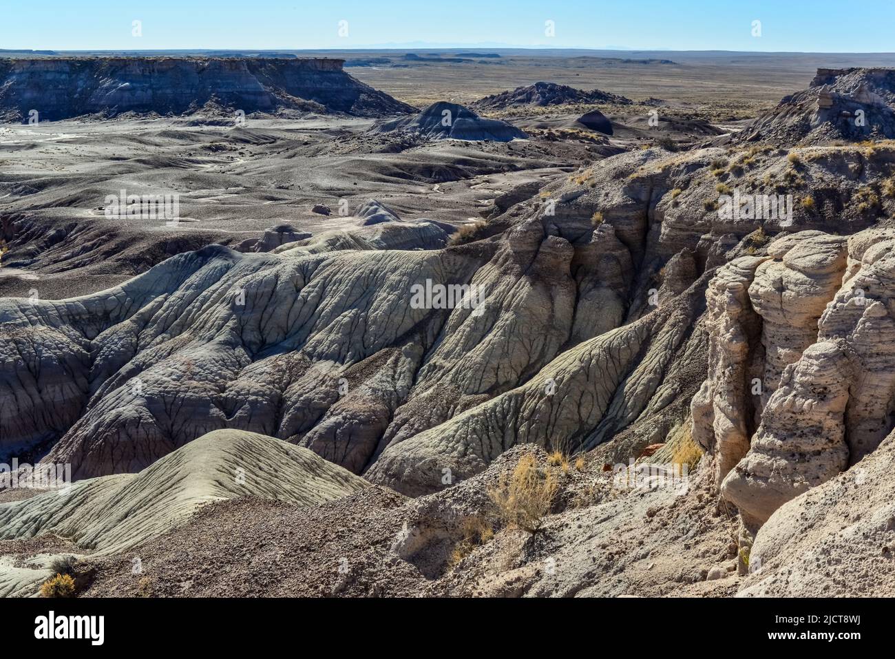 Il deserto dipinto in una giornata di sole. Diverse rocce sedimentarie e argilla lavate dall'acqua. Petrified Forest National Park, USA, Arizona Foto Stock