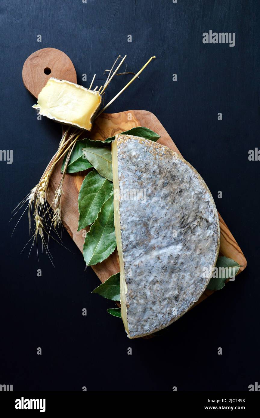 Formaggio Saint Nectaire con foglia di alloro su un tagliere. Si tratta di un formaggio di Alvernia e di un formaggio di montagna a base di latte vaccino. Foto Stock