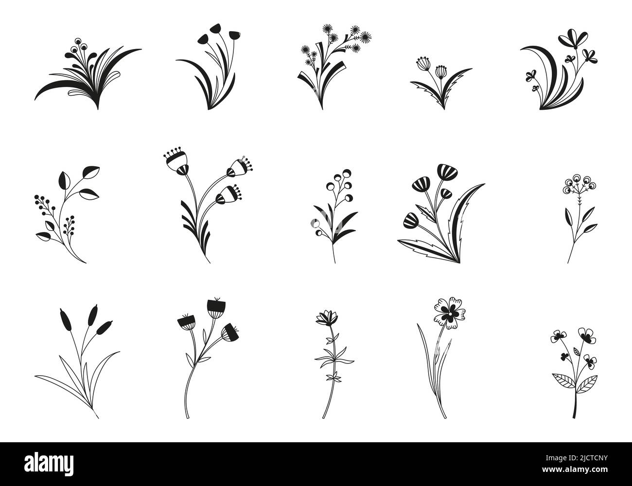 Set di rami di alberi, silhouette di erbe e fiori, fiori vettoriali e ramoscelli. Illustrazione Vettoriale
