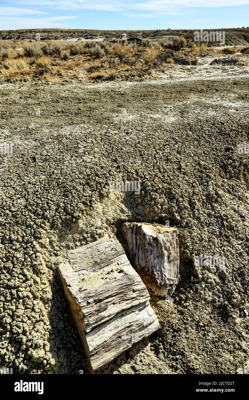 Formazioni rocciose presso l'Ah-shi-sle-pah Wash, Wilderness Study Area, New Mexico Foto Stock