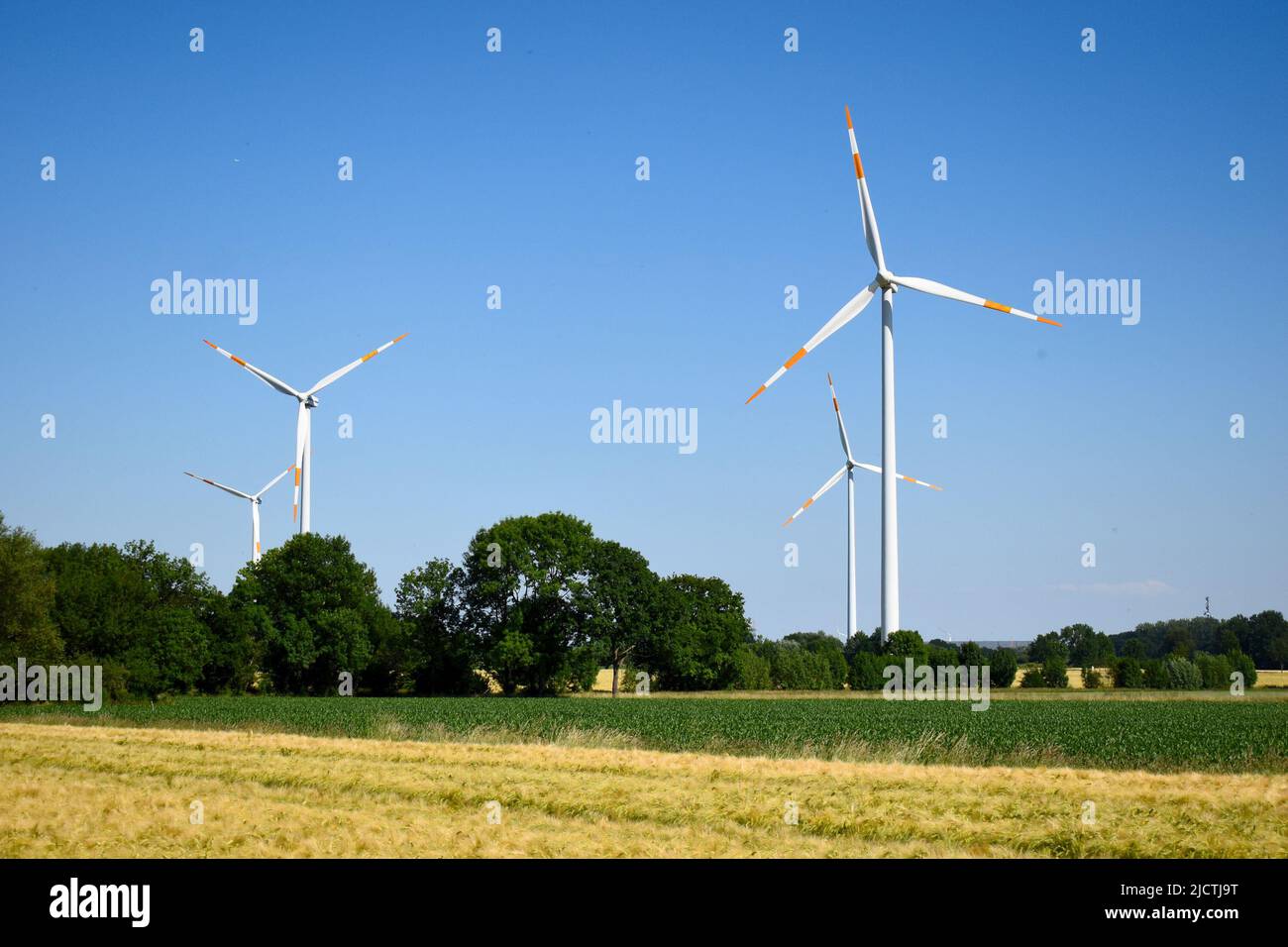 Turbine eoliche in un impianto eolico in una zona rurale in Germania. Fonti di energia sostenibili e rinnovabili per sostituire carbone, atomo e altri combustibili fossili. Foto Stock