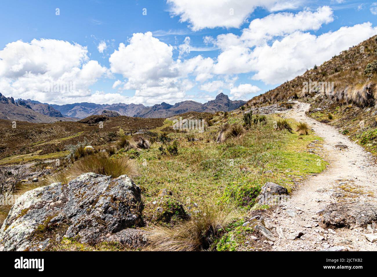 Sentiero escursionistico attraverso il paramo nel Parco Nazionale Cajas, zona ricreativa di Toreadora. Sud America, Ecuador, provincia di Azuay vicino a Cuenca Foto Stock