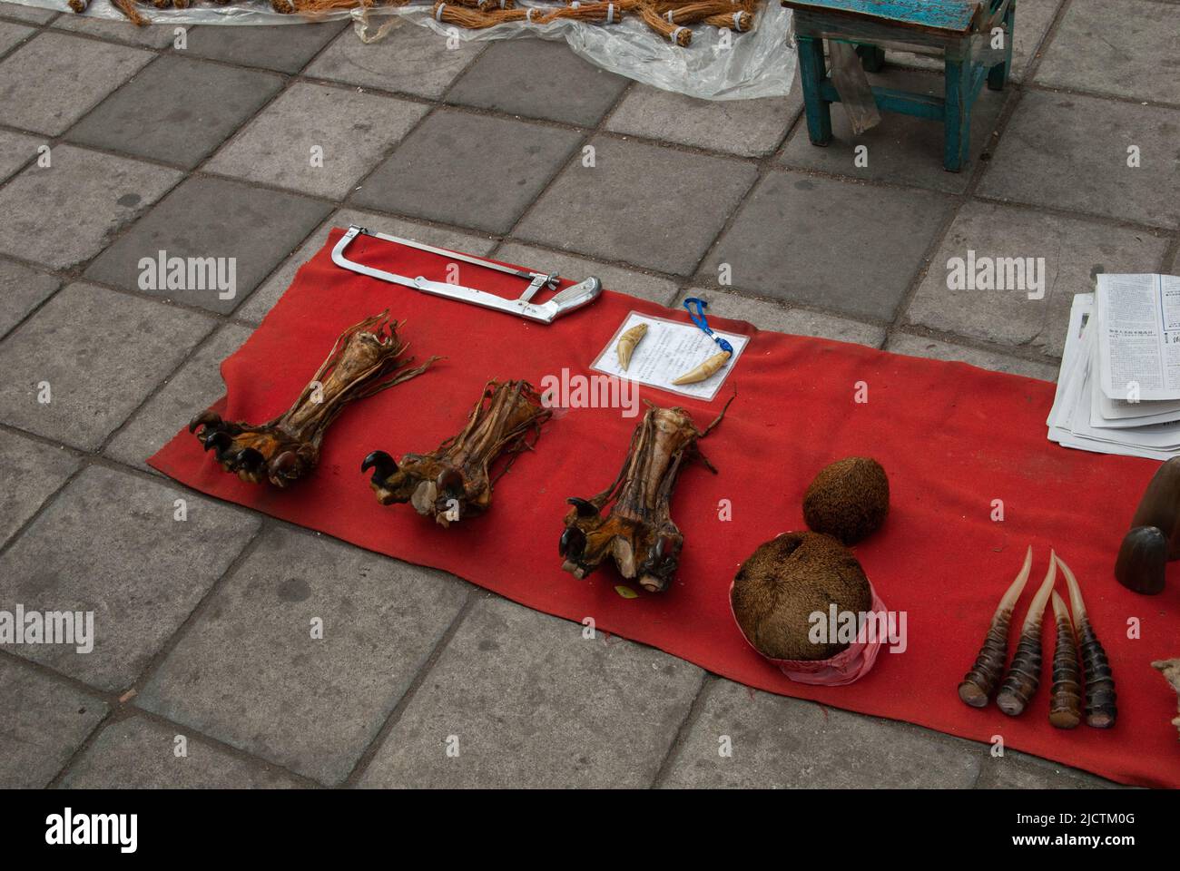 Parti animali in vendita nel mercato Qingping. Questi artigli sono quasi certamente illegali e appena su un foglio in modo da possono essere afferrati rapidamente se la polizia viene. Foto Stock