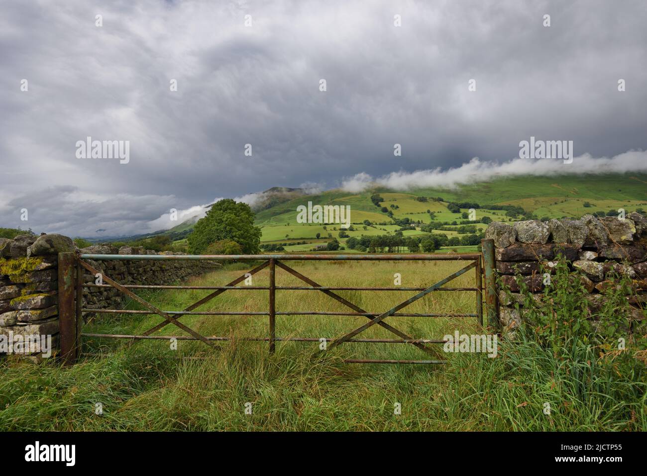 Northumberland, Inghilterra paese che coltiva pecore Foto Stock