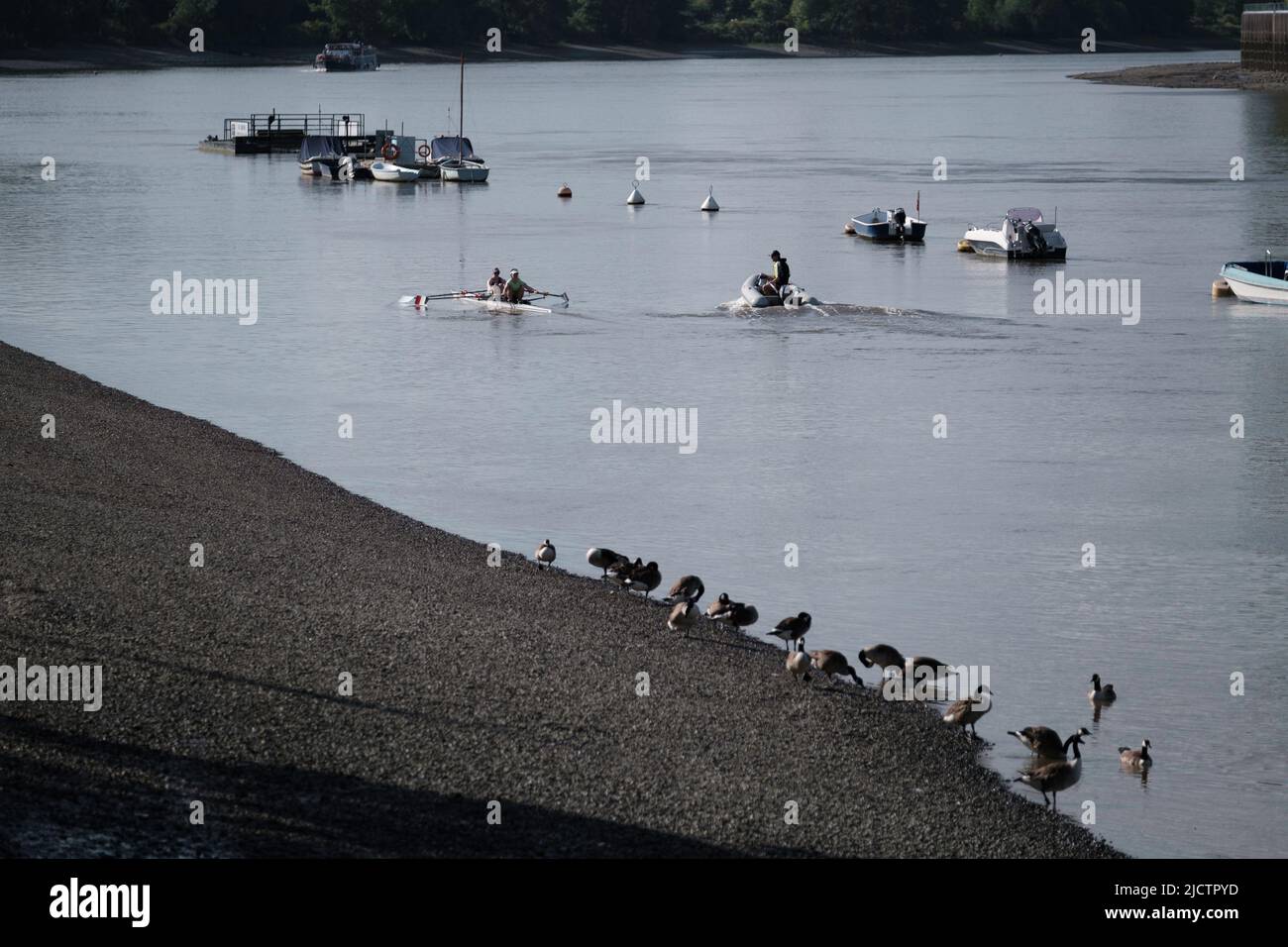 River Thames, Putney, Londra, Regno Unito Foto Stock