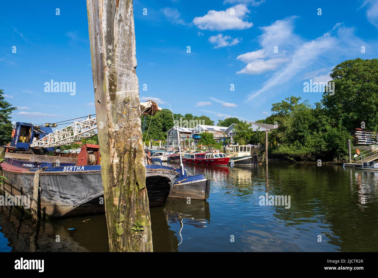 River Thames, Twickenham, Londra, Regno Unito Foto Stock