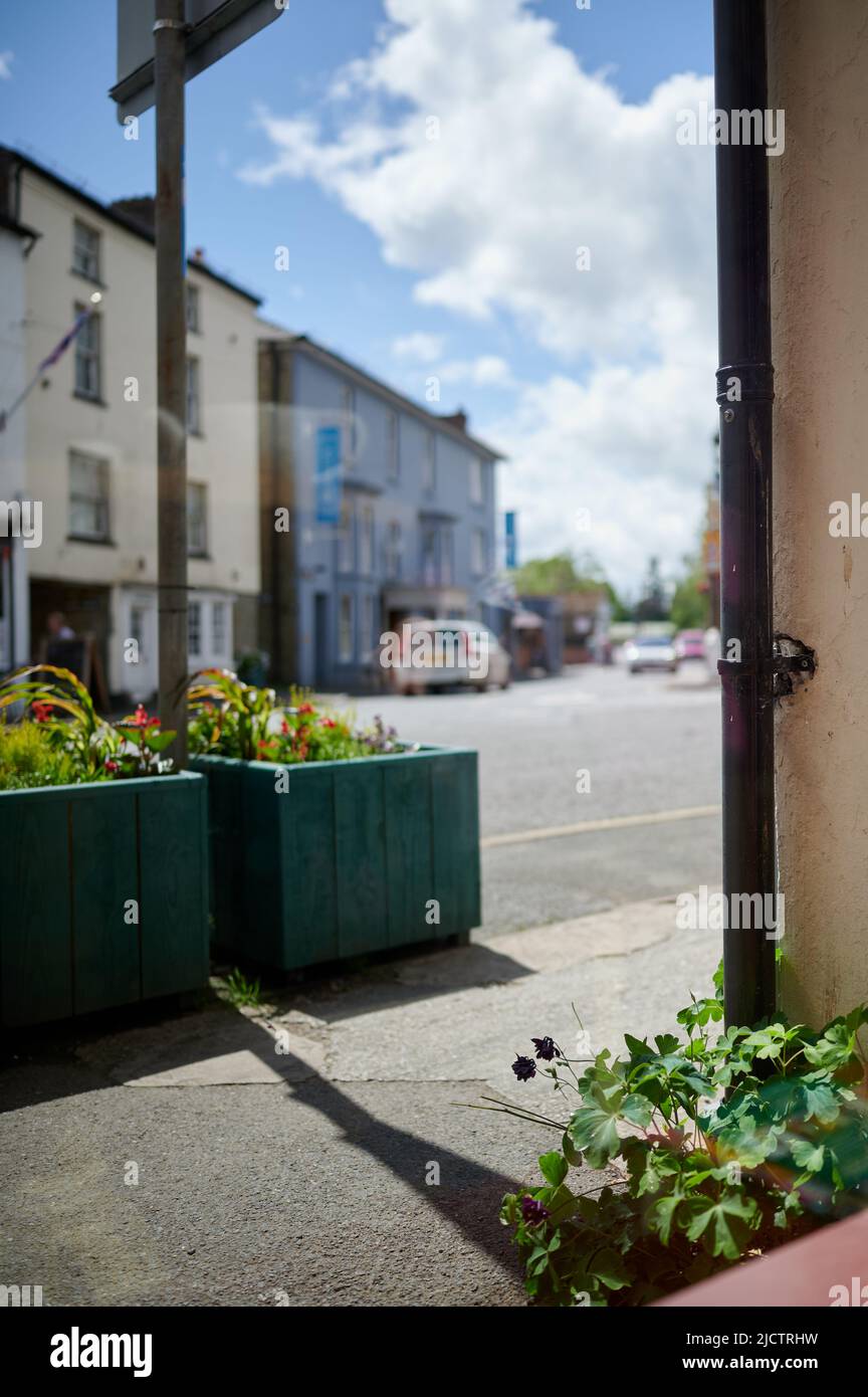 Scena stradale sfocata con scatola di fiori, auto parcheggiate, strada, marciapiede, sole in estate e fuoco su pianta in primo piano attraverso la finestra Foto Stock