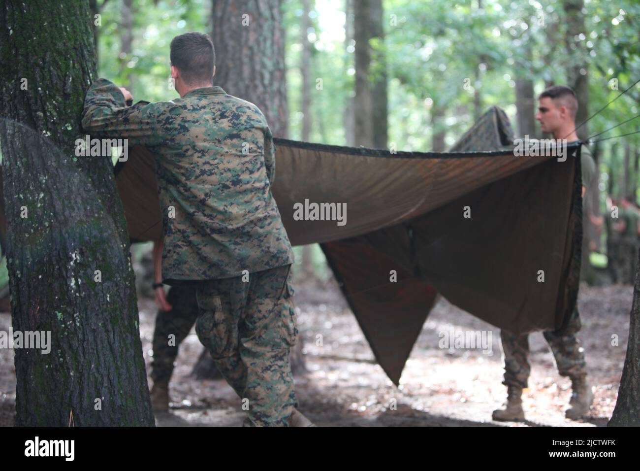 Marines USA con Charlie Company, 1st Battaglione, 8th Regiment Marino (1/8), 2D Divisione Marina stanno assemblando i loro rifugi poncho su Range L5 durin Foto Stock