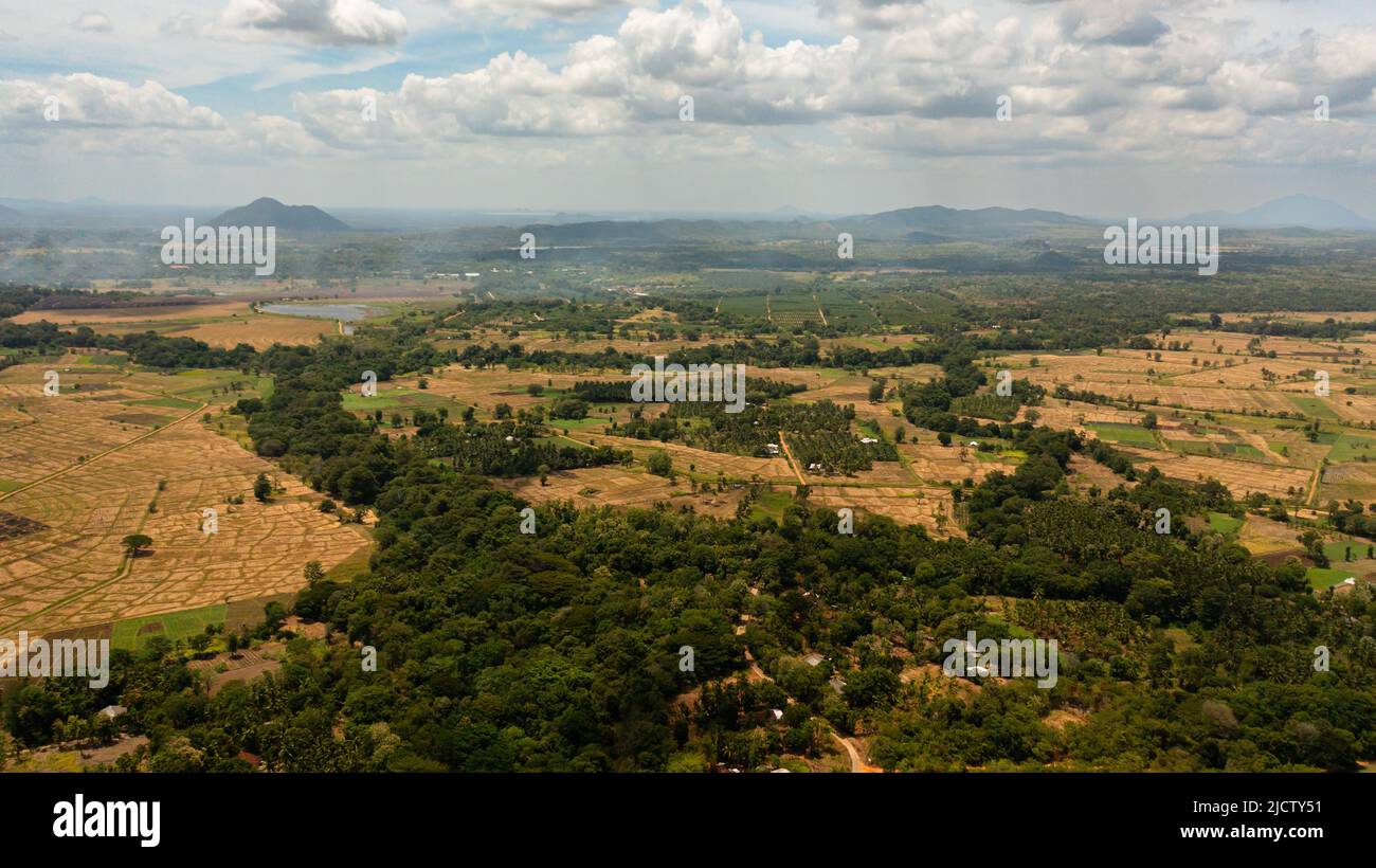 Drone aereo di Valle con terreno agricolo circondato da foresta. Sri Lanka. Foto Stock