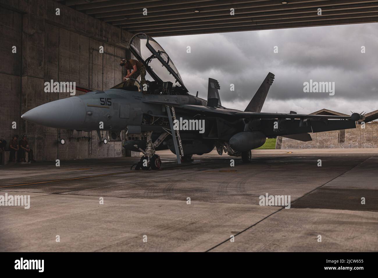 U.S. Navy Aviation Structural Mechanic Petty Officer 3rd Classe Oleksandr Mostovskyi con attacco elettronico Squadron 138 (VAQ-138) ispeziona un e/A-18G Growler assegnato a VAQ-138 in un hangar operato da Marine Wing Liaison Kadena (MWLK) per l'addestramento della forza congiunta alla base dell'aeronautica di Kadena, Okinawa, Giappone, 13 giugno 2022. MWLK fornisce un supporto logistico e operativo completo ai corpi marini e squadroni della Marina degli Stati Uniti che operano presso la base aerea di Kadena. (STATI UNITI Foto del corpo marino di Lance CPL. Kyle Chan) Foto Stock