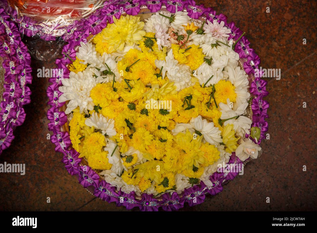 Un fiore al giorno, fiorisce ogni cuore in molti modi. Il fiore è un'altra forma di linguaggio d'amore. Foto Stock