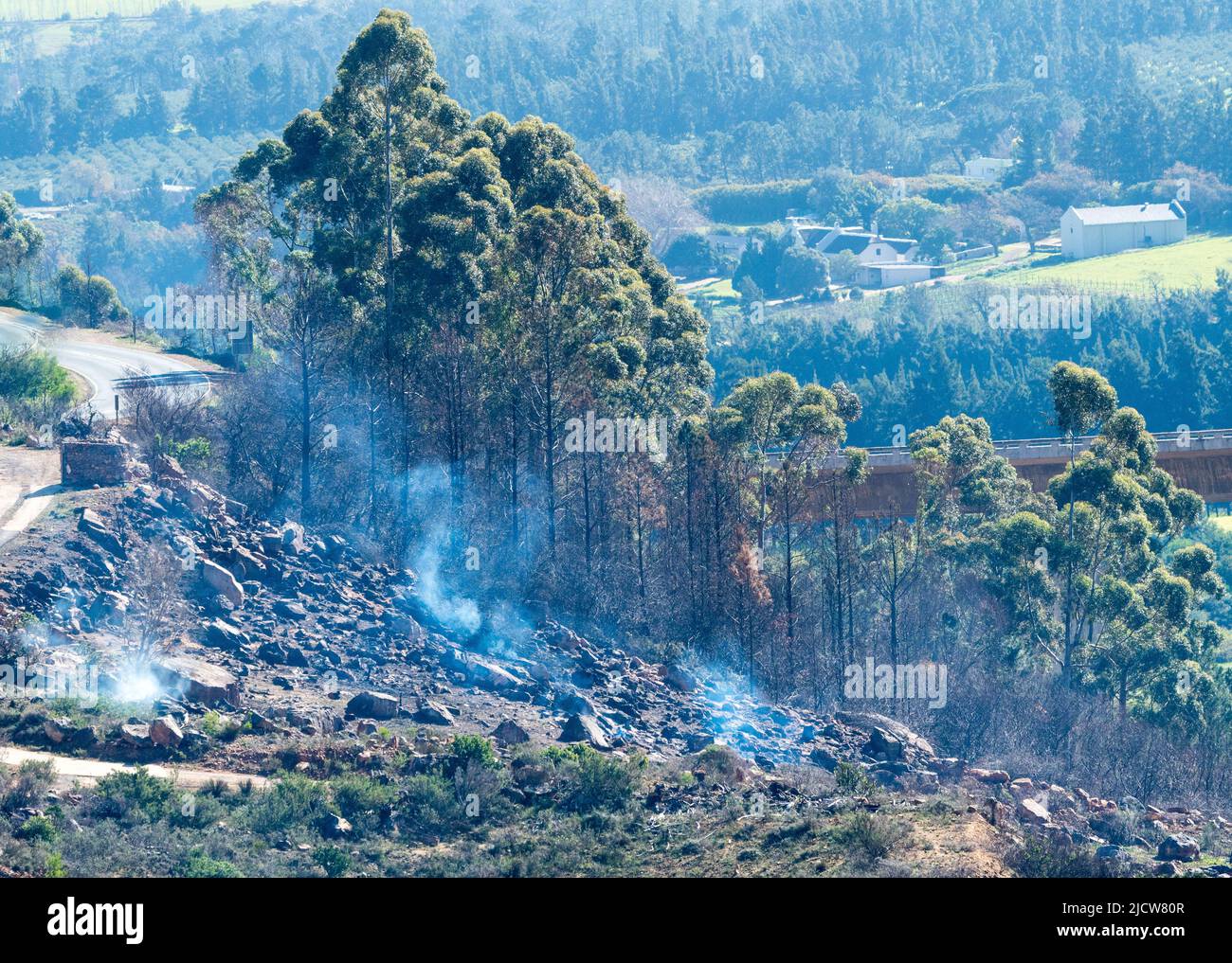 Fumo plumes da un fuoco di montagna in natura in rurale Western Cape, Sud Africa concetto di incendi selvatici in natura Foto Stock