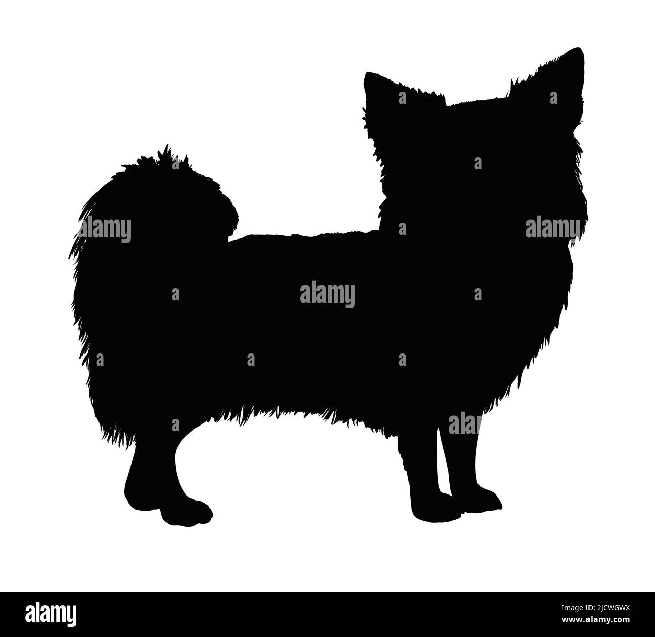 Disegno di Chihuahua. Illustrazione silhouette isolata con cane. Foto Stock