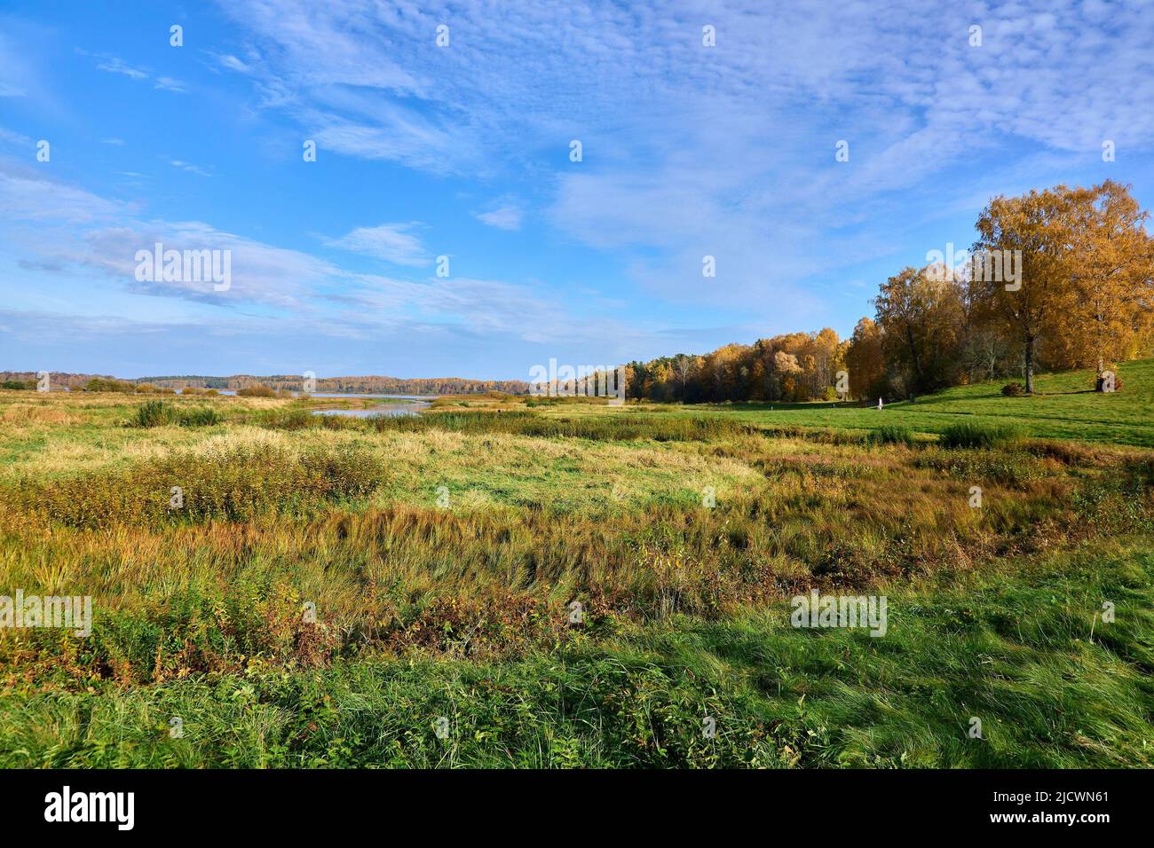 Splendida vista sulla natura in autunno. Alta qualità Foto Stock
