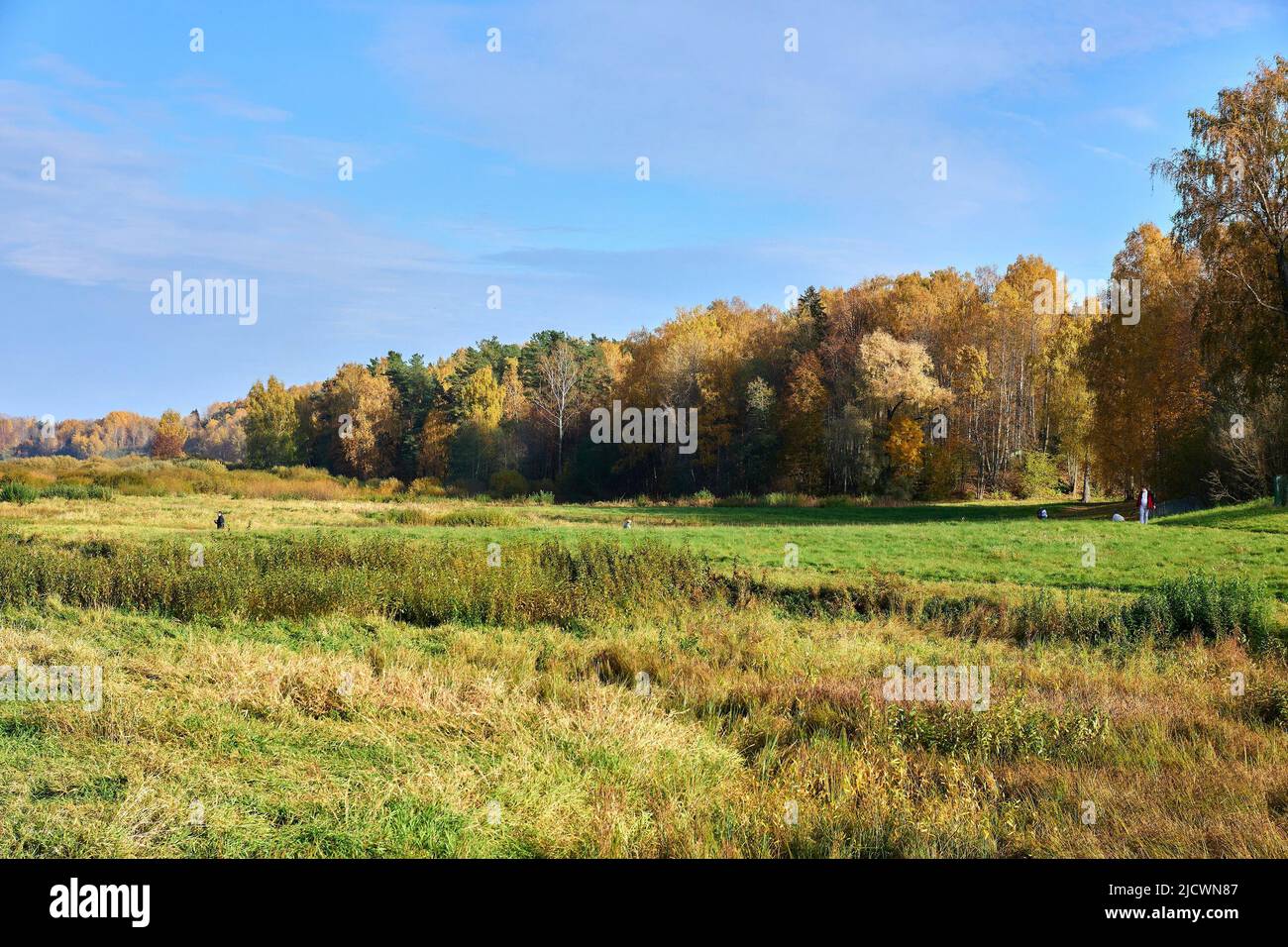 Splendida vista sulla natura in autunno. Alta qualità Foto Stock