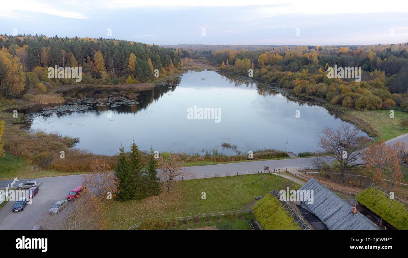 Fuco di lago e alberi. Alta qualità Foto Stock