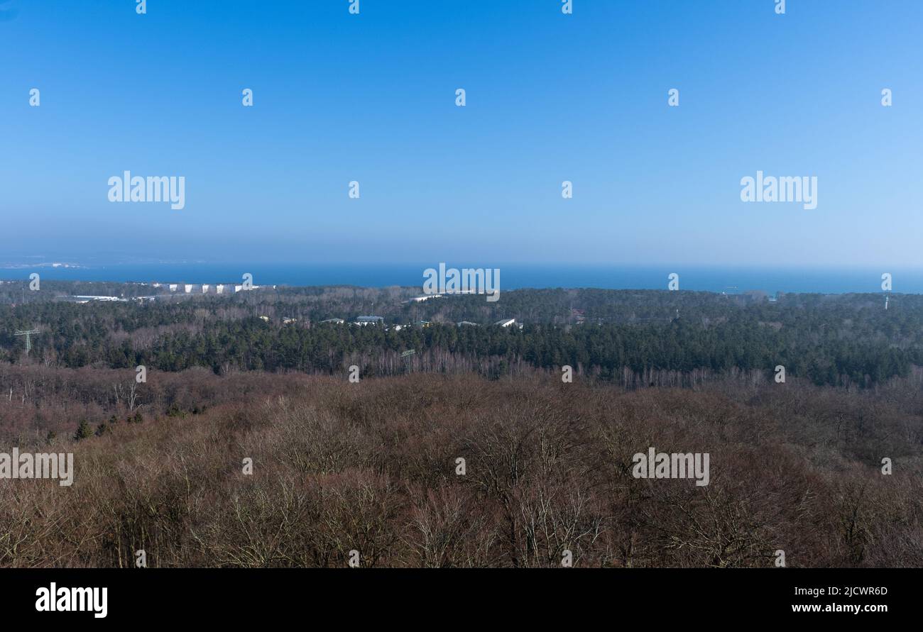 Vista da una passerella sulla cima di un albero con il Colosso di Prora sullo sfondo Foto Stock