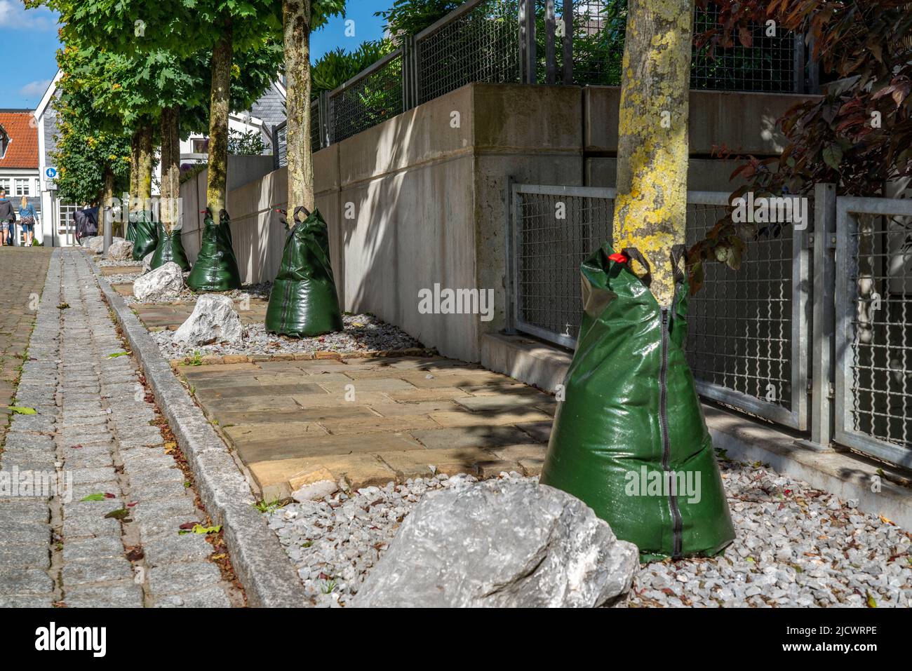Sistema di irrigazione Treegator, per annaffiatura mirata degli alberi durante la siccità, sacche d'acqua che consegnano acqua agli alberi in 5-9 ore, Foto Stock