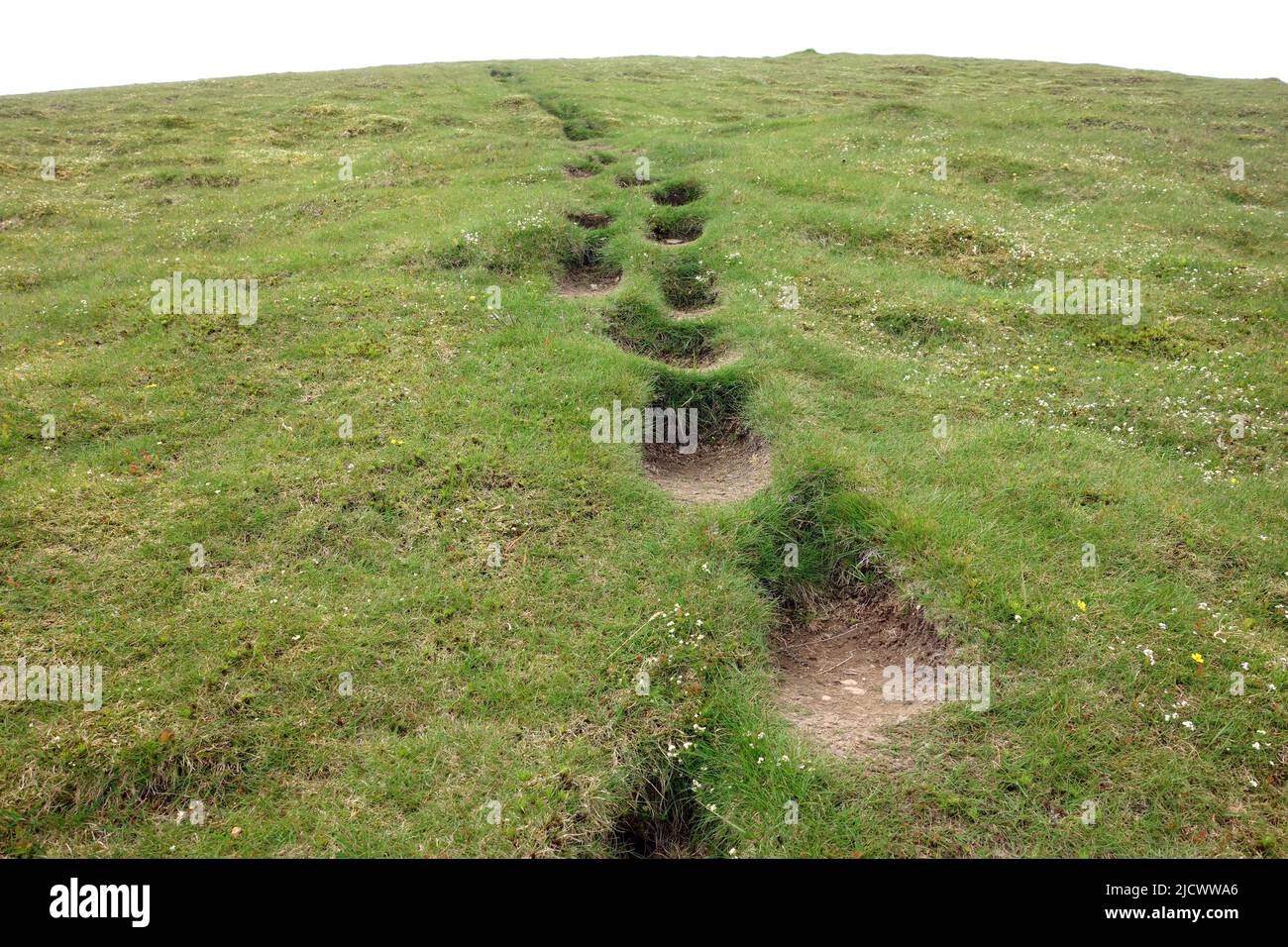 Impronte erose sul sentiero Hillside al Wainwright 'Seatallan' vicino Wasdale nel Lake District National Park, Cumbria, Inghilterra, Regno Unito. Foto Stock