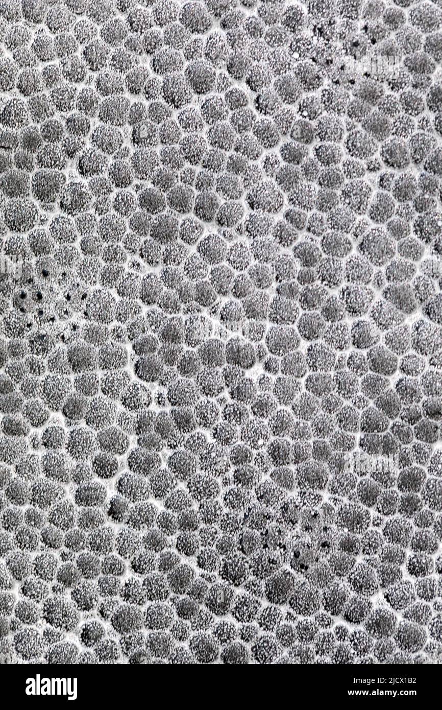 Sfondo astratto dalla texture sfera grigio in polistirolo con fuoco morbido Foto Stock