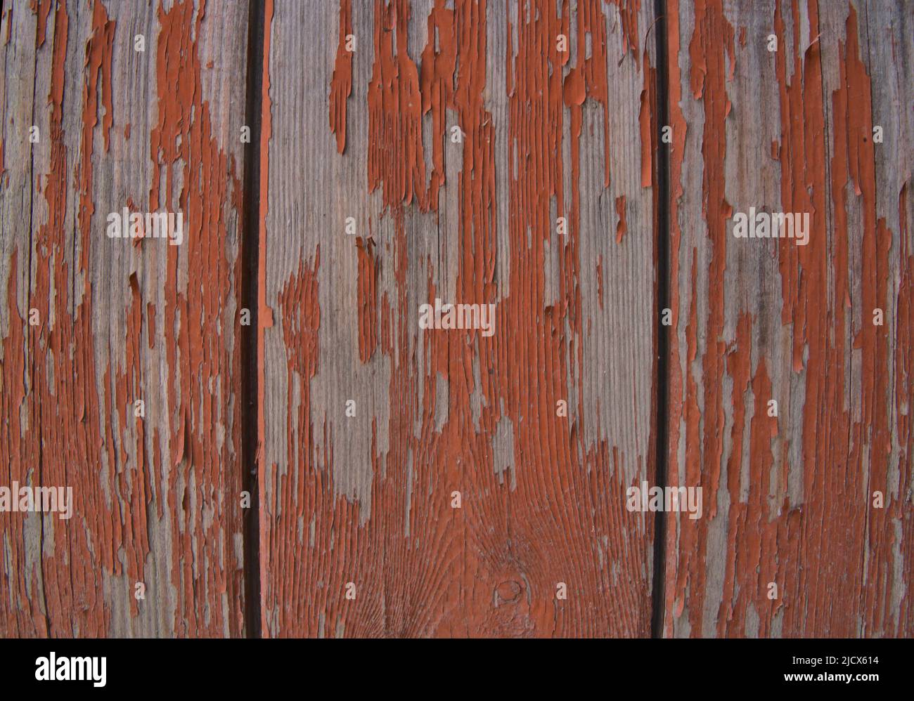 sfondo legno grigio antico con vernice shabby, con spazi tra le tavole, nodi. Legno naturale intemperato e sbiadito con linee di pannelli Foto Stock
