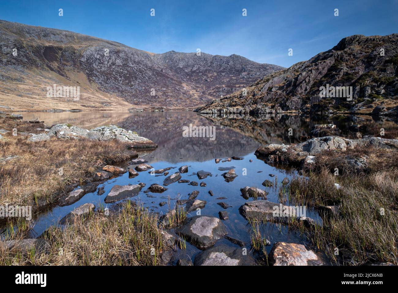 Llyn Cwmffynnon e Distant Glyder Fach, Glyderau, Snowdonia National Park, Galles del Nord, Regno Unito, Europa Foto Stock