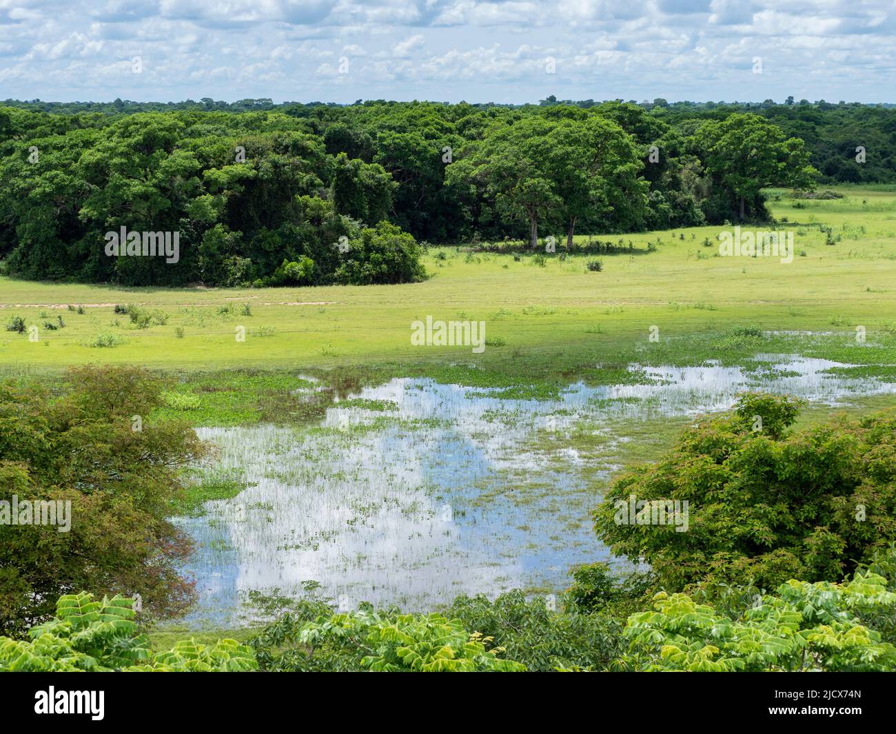 Una vista della terra allagata a Pousada Piuval, Mato Grosso, Pantanal, Brasile, Sud America Foto Stock