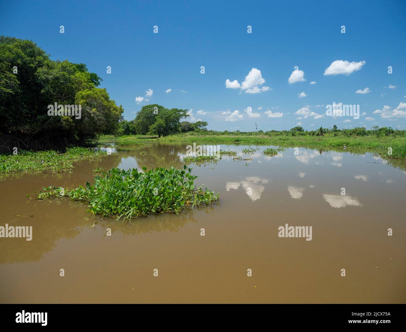 Una vista del fiume chiamato Rio Tres Irmao, Mato Grosso, Pantanal, Brasile, Sud America Foto Stock