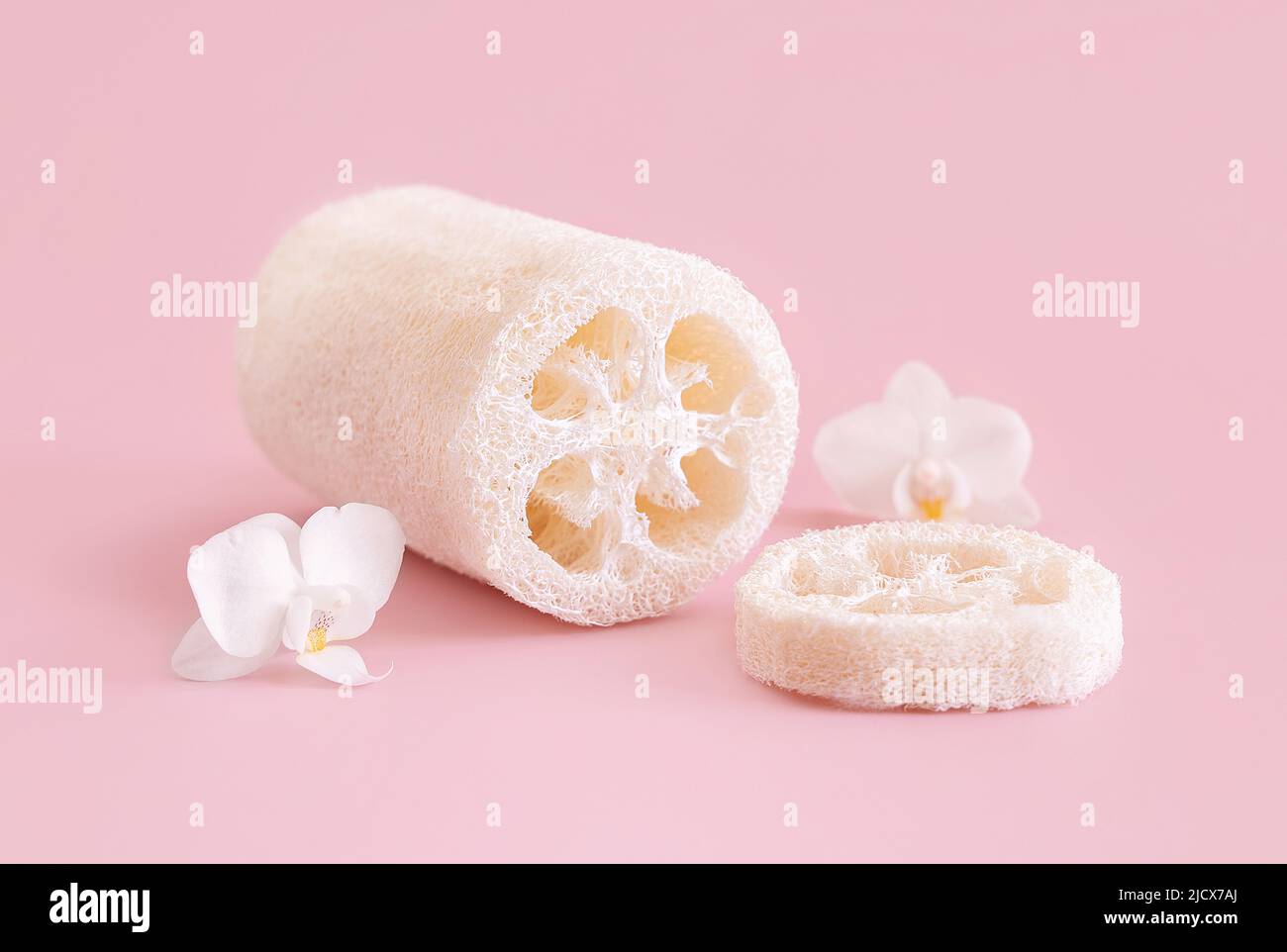 Spugna di loofah vicino a fiori bianchi di orchidea su rosa chiaro, primo piano, mockup. Prodotti di bellezza per la cura della pelle, crema o lozione. Cosmetici naturali esotici, pastello mi Foto Stock