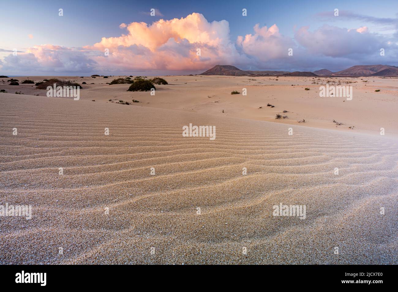 Cielo romantico all'alba sulle dune di sabbia del deserto, Parco Naturale Corralejo, Fuerteventura, Isole Canarie, Spagna, Atlantico, Europa Foto Stock