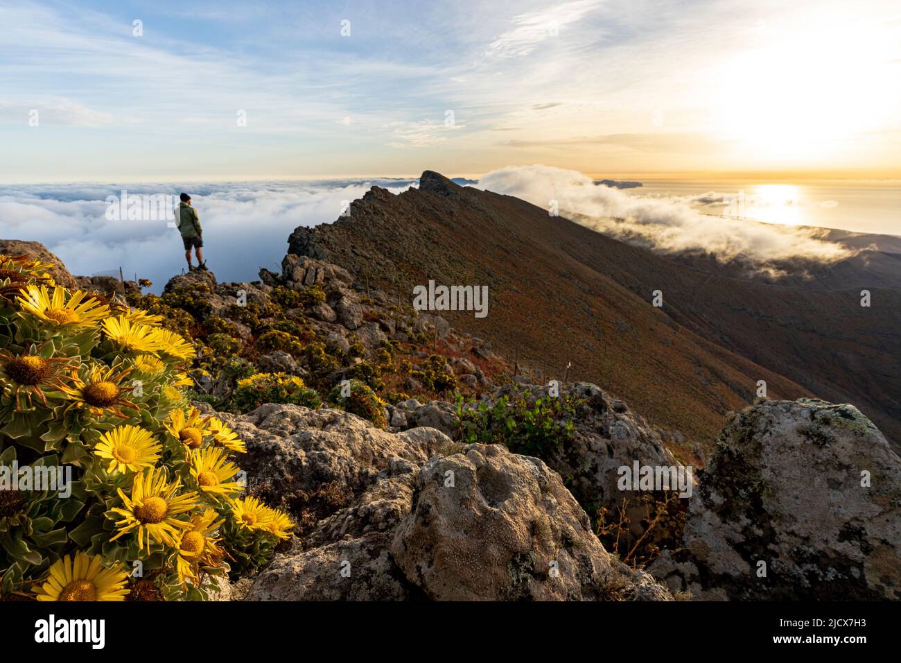 Uomo che guarda l'alba in piedi sulla cima rocciosa di Pico de la Zarza, la montagna più alta di Fuerteventura, Isole Canarie, Spagna, Atlantico, Europa Foto Stock