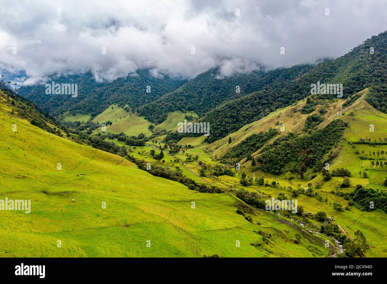 Antenna della Valle di Cocora, patrimonio dell'umanità dell'UNESCO, Paesaggio culturale del caffè, Salento, Colombia, Sud America Foto Stock