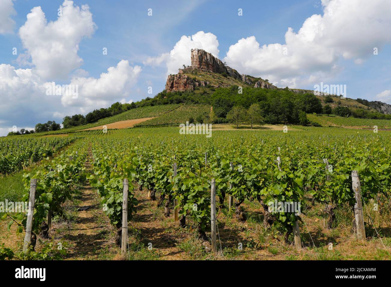 Solutre Rock e vigneti a Saone et Loire, Borgogna, Francia, Europa Foto Stock