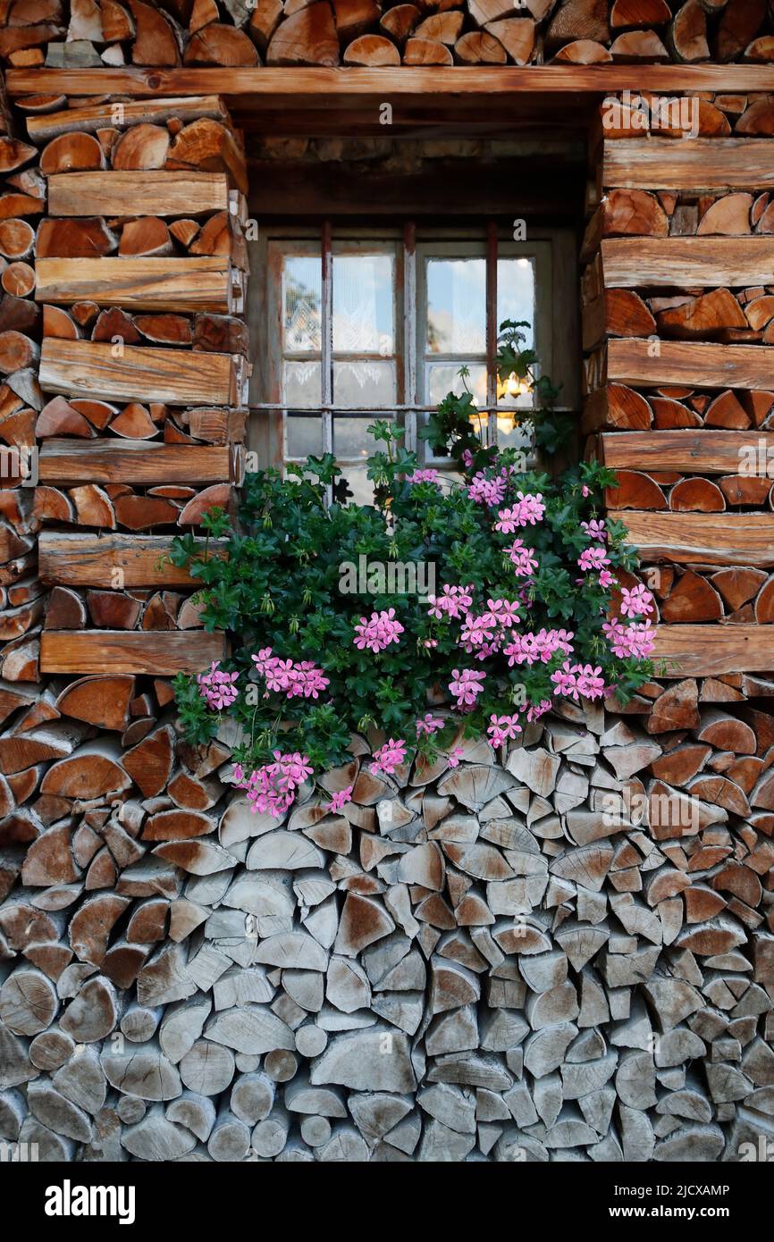 Finestra con fiori, chalet in legno nelle Alpi francesi, Sallanches, alta Savoia, Francia, Europa Foto Stock