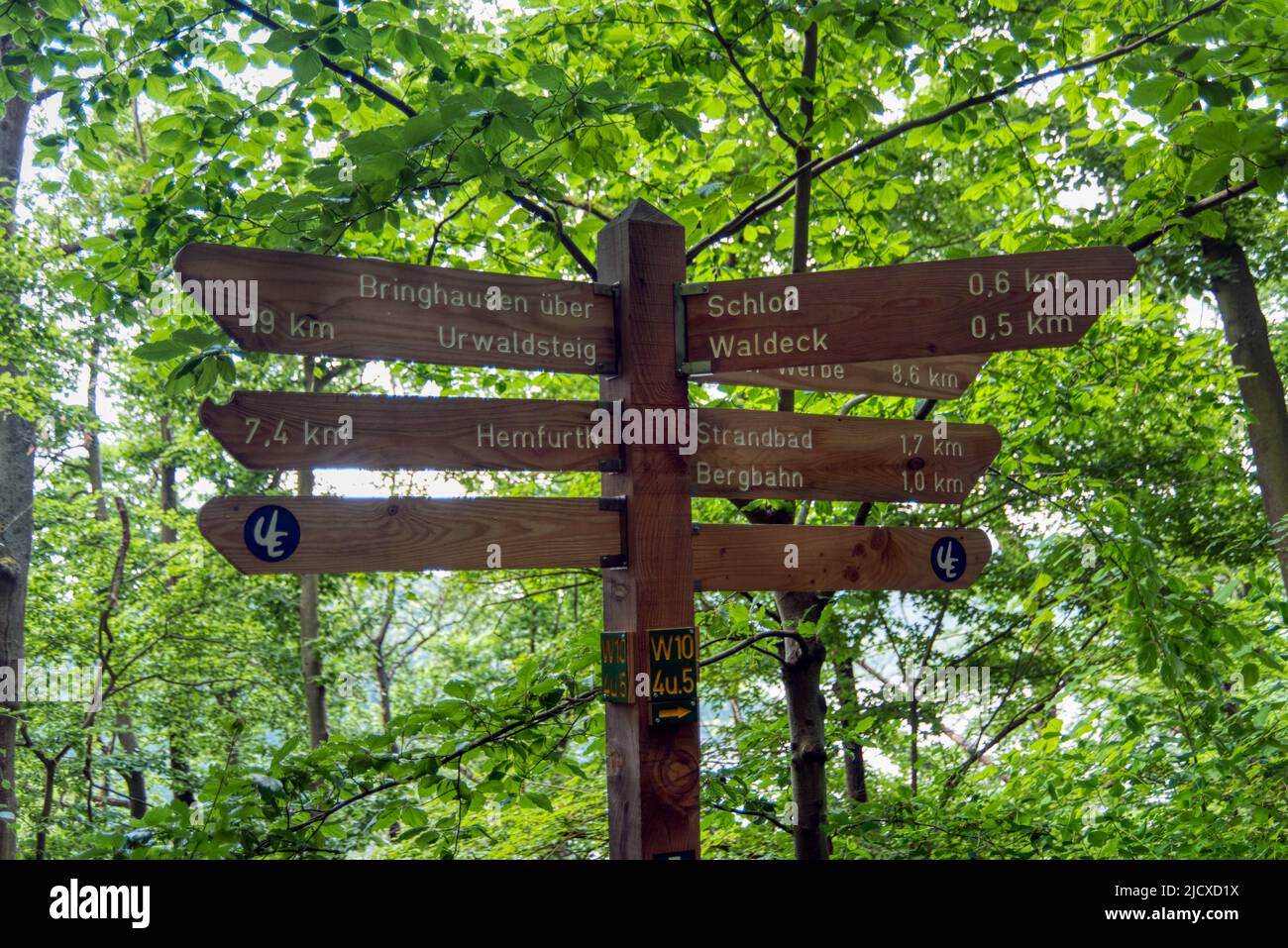 Am Edersee a Hessen - Nationalpark Kellerwald-Edersee Foto Stock