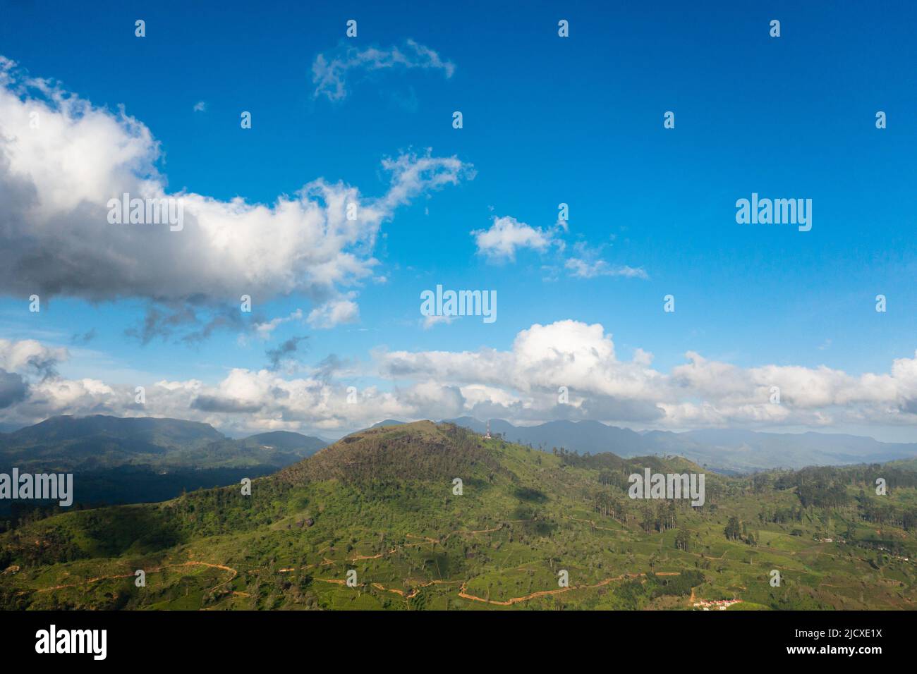 Vista aerea della piantagione di tè verde contro il cielo blu e le nuvole nelle montagne. Paesaggio della tenuta del tè. Maskeliya, Sri Lanka. Foto Stock